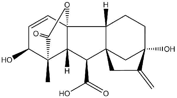 赤霉素GIBBERELLIC ACID，居然有這么神奇？